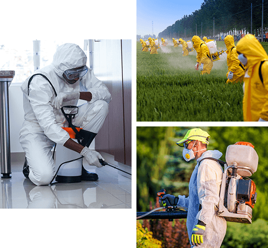 PCCS pest control professionals at work